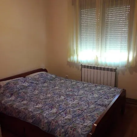 Apartman Sneznik *